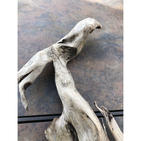 Natural Driftwood for Plants Terrarium Taxidermy Art Projects - Picture 8 of 8